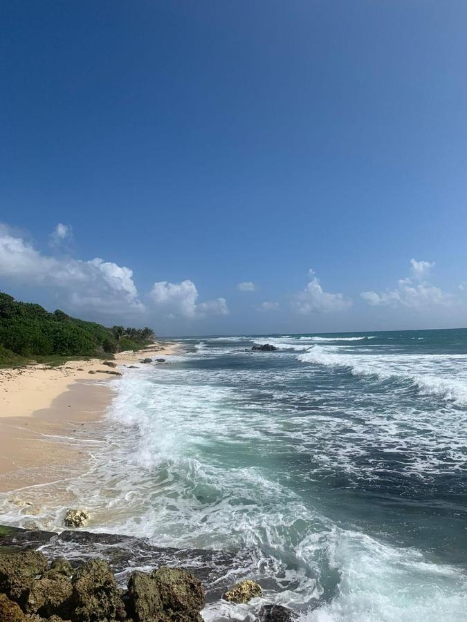Villa Nomilou Beach avec Accès direct à la Plages Saint-Francois  Extérieur photo